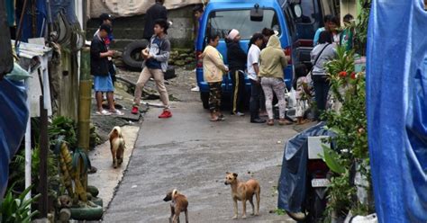 dog in baguio breed|Irresponsible dog owners face raps in Baguio .
